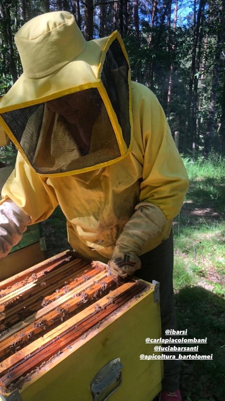 Agriturismo La Casa Nel Bosco Boveglio Εξωτερικό φωτογραφία